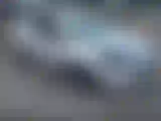 Vehicle Image- 2014 Ford Focus