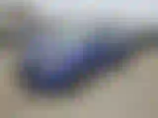 Vehicle Image- 2014 Ford Focus