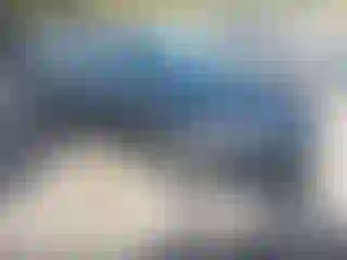 Vehicle Image- 2016 Ford Focus