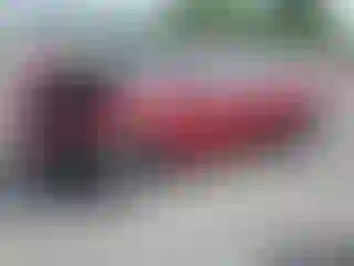 Vehicle Image- 2014 Ford Focus