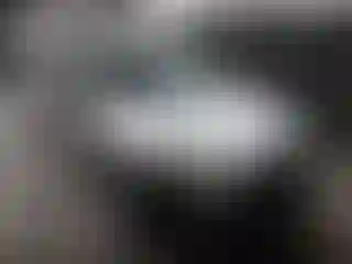 Vehicle Image- 2014 Ford Focus