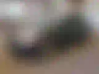 Vehicle Image- 2014 Ford Focus