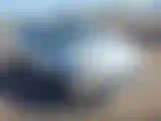 Vehicle Image- 2014 Ford Focus