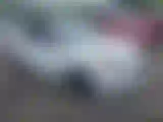 Vehicle Image- 2016 Ford Focus