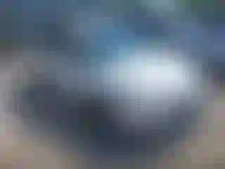 Vehicle Image- 2014 Ford Focus