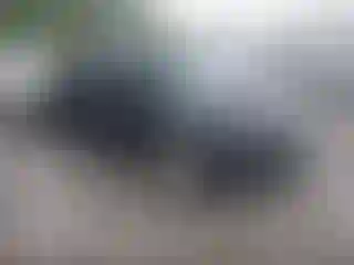 Vehicle Image- 2016 Ford Focus