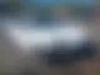 Vehicle Image- 2014 Ford Focus