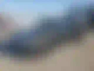Vehicle Image- 2014 Ford Focus