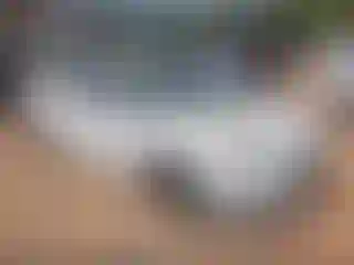 Vehicle Image- 2015 Ford Focus