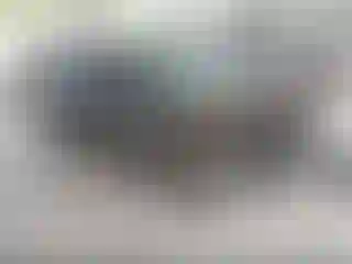 Vehicle Image- 2016 Ford Focus