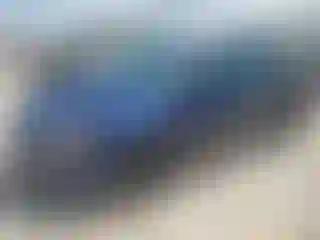 Vehicle Image- 2016 Ford Focus