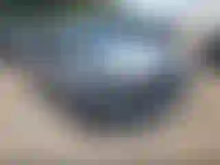 Vehicle Image- 2016 Ford Focus