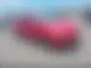 Vehicle Image- 2016 Ford Focus