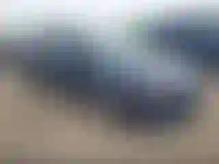 Vehicle Image- 2016 Ford Focus