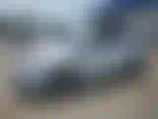 Vehicle Image- 2014 Ford Focus