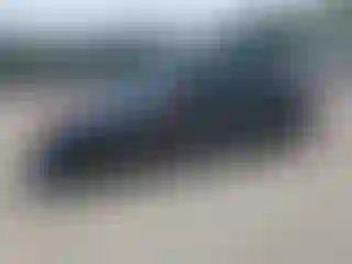 Vehicle Image- 2016 Ford Focus