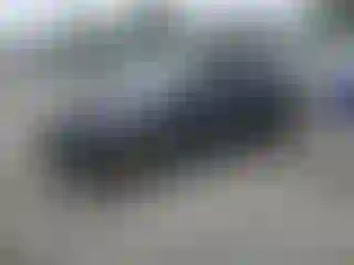 Vehicle Image- 2014 Ford Focus