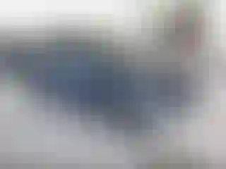 Vehicle Image- 2016 Ford Focus