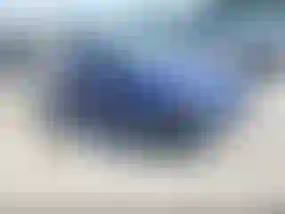 Vehicle Image- 2014 Ford Focus