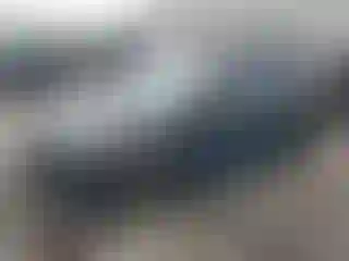 Vehicle Image- 2016 Ford Focus