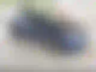 Vehicle Image- 2017 Ford Focus
