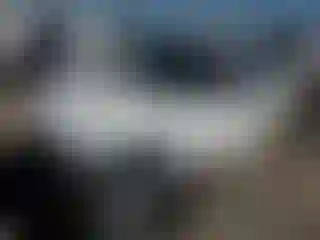 Vehicle Image- 2018 Ford Focus