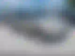 Vehicle Image- 2017 Ford Focus