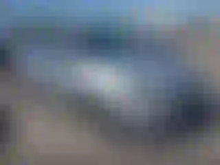 Vehicle Image- 2014 Ford Focus