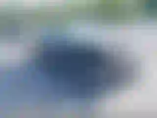 Vehicle Image- 2014 Ford Focus