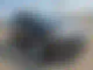 Vehicle Image- 2017 Ford Focus