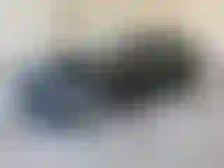 Vehicle Image- 2014 Ford Focus