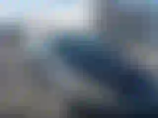 Vehicle Image- 2015 Ford Focus