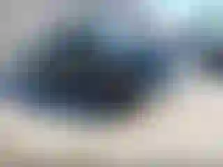 Vehicle Image- 2015 Ford Focus