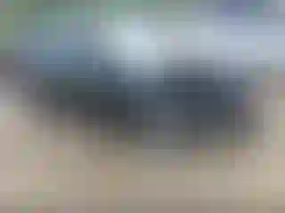 Vehicle Image- 2014 Ford Focus