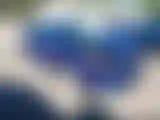 Vehicle Image- 2015 Ford Focus