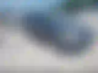 Vehicle Image- 2014 Ford Focus