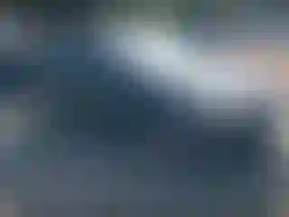 Vehicle Image- 2014 Ford Focus