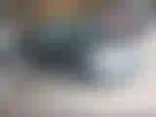 Vehicle Image- 2016 Ford Focus