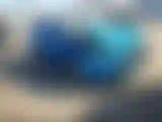 Vehicle Image- 2014 Ford Focus