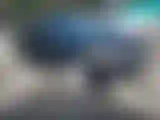 Vehicle Image- 2016 Ford Focus