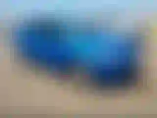 Vehicle Image- 2013 Ford Focus