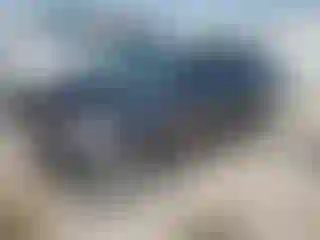Vehicle Image- 2014 Ford Focus