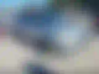 Vehicle Image- 2014 Ford Focus