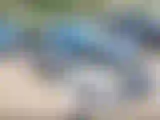 Vehicle Image- 2014 Ford Focus