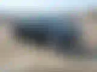 Vehicle Image- 2017 Ford Focus