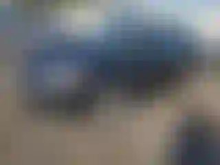 Vehicle Image- 2015 Ford Focus
