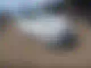 Vehicle Image- 2015 Ford C-Max