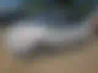 Vehicle Image- 2013 Ford C-Max