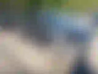 Vehicle Image- 2017 Ford C-Max