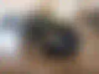 Vehicle Image- 2018 Ford C-Max